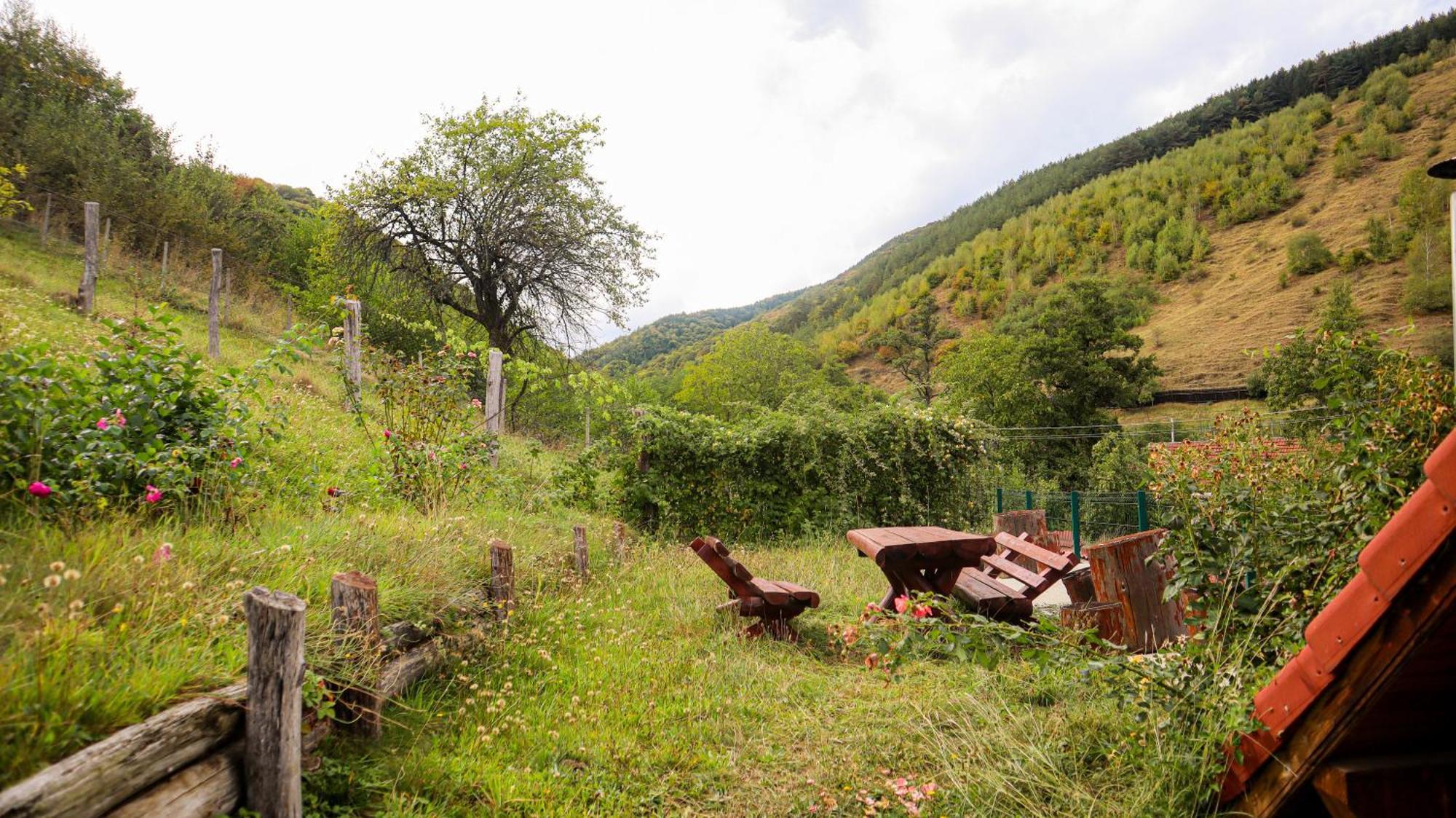Marginimea Sibiului - Pensiunea Darian & David Orlat Buitenkant foto
