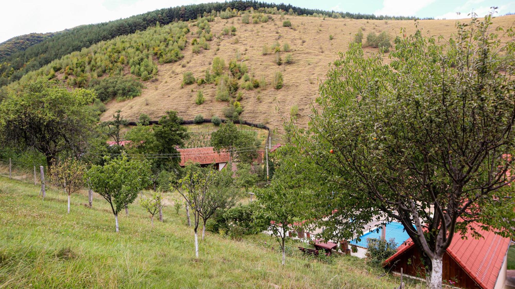 Marginimea Sibiului - Pensiunea Darian & David Orlat Buitenkant foto